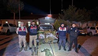 Muradiye&rsquo;de 630 kilo inci kefali ele ge&ccedil;irildi
