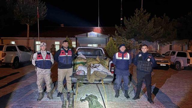 Muradiye’de 630 kilo inci kefali ele geçirildi