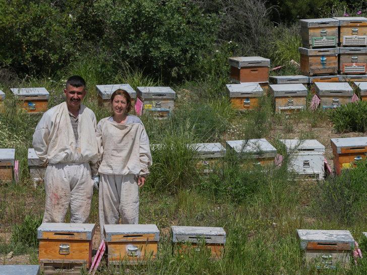 Devlet desteği ile arıcılığa başladılar, ihya oldular! G3