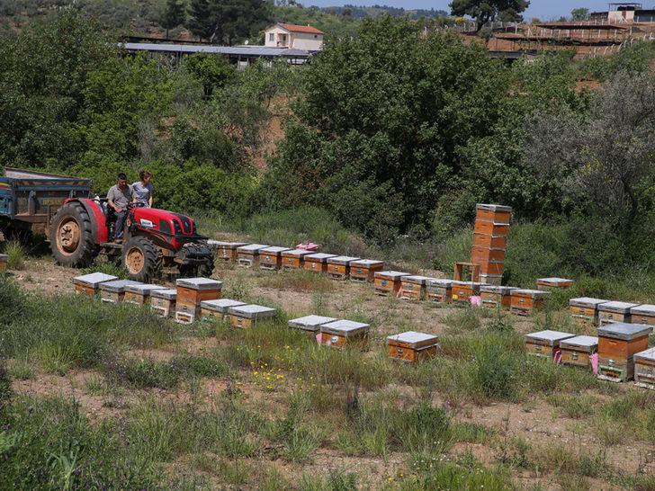 Devlet desteği ile arıcılığa başladılar, ihya oldular! G4