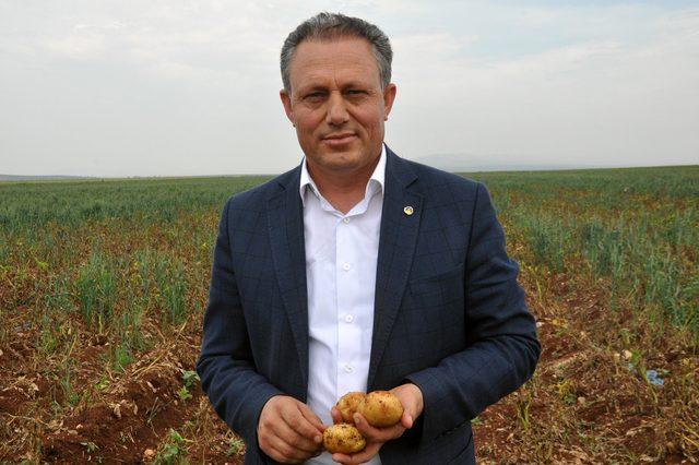 Patates üreticisi sıkıntılı