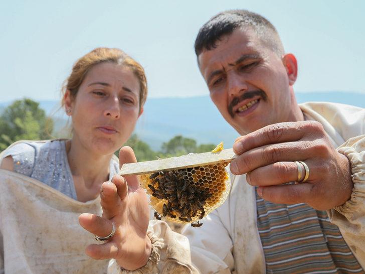 Devlet desteği ile arıcılığa başladılar, ihya oldular! G5