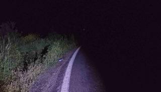 Bilecik&rsquo;te motosiklet kazasında 1 kişi yaralandı