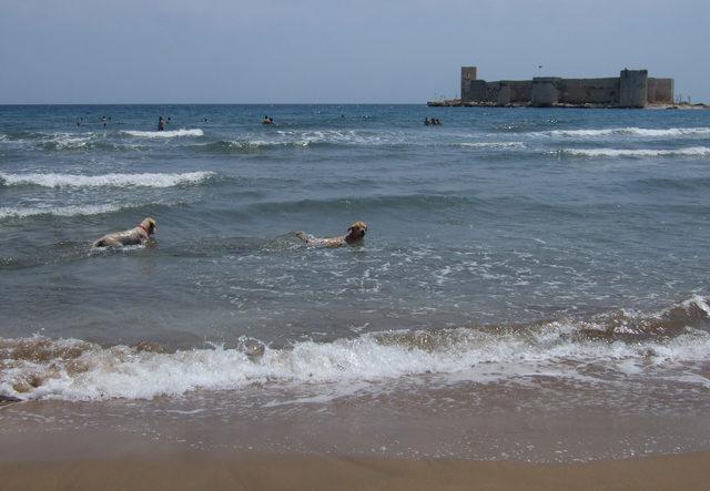 Resmi tatili fırsat bilenler sahillere koştu