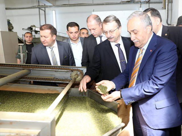 Gıda Tarım ve Hayvancılık Bakanı Fakıbaba Rize'de