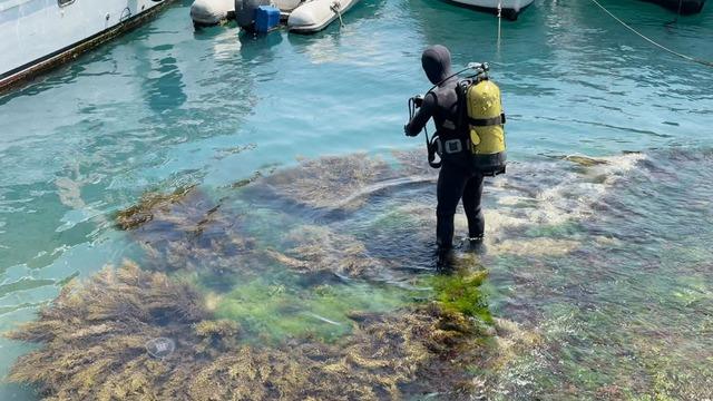 Beşiktaş Arnavutköy Sahili’nde midye salyangoz toplamak için denize dalan şahıs 12 saattir aranıyor