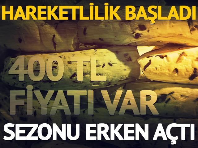 Hareketlilik başladı: 400 TL fiyatı var! Sezonu erken a&ccedil;tı