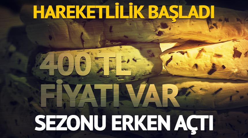 Hareketlilik başladı: 400 TL fiyatı var! Sezonu erken a&ccedil;tı