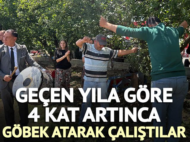 Ge&ccedil;en yıla g&ouml;re 4 kat artınca g&ouml;bek atarak &ccedil;alıştılar