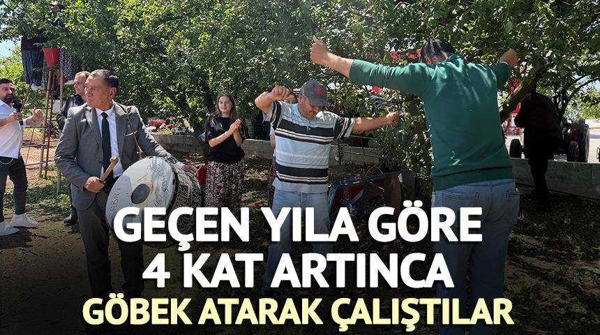 Ge&ccedil;en yıla g&ouml;re 4 kat artınca g&ouml;bek atarak &ccedil;alıştılar