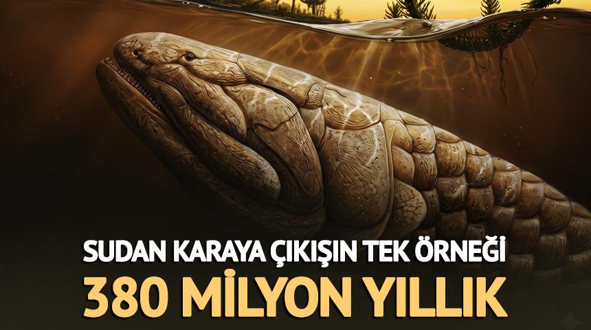 380 milyon yıllık fosil bulundu! Sudan karaya &ccedil;ıkışın tek &ouml;rneği