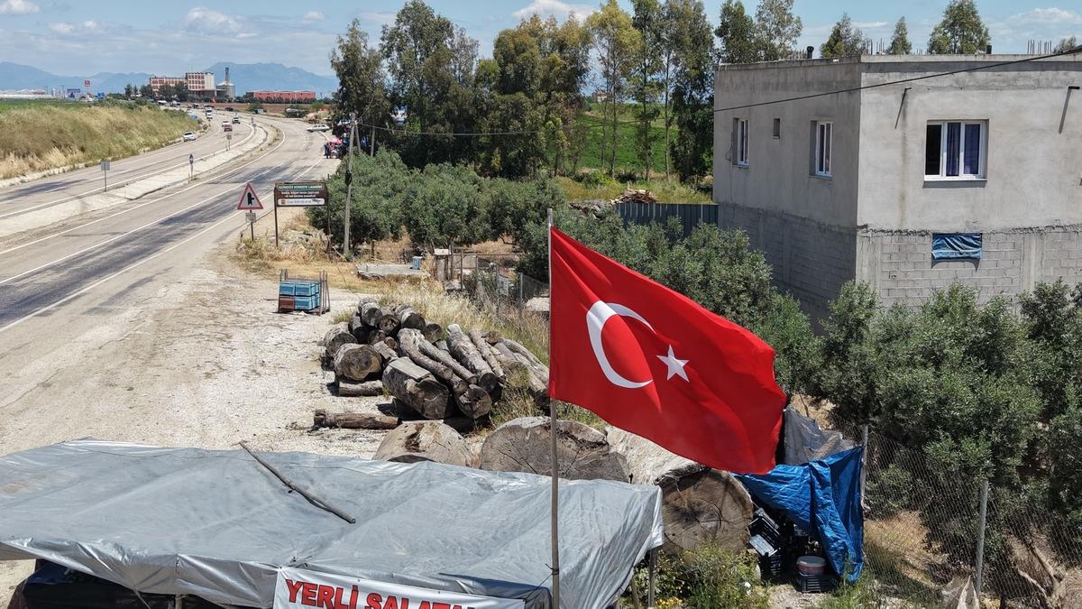 Adına festivaller d&uuml;zenlendi: Ata tohumu salatalığı g&ouml;renler hemen alıyor 3