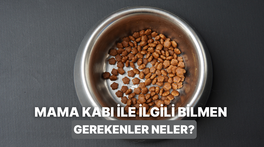 Hijyenik mama kabı se&ccedil;erken nelere dikkat edilmeli?