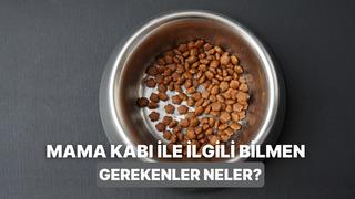 Hijyenik mama kabı seçerken nelere dikkat edilmeli?