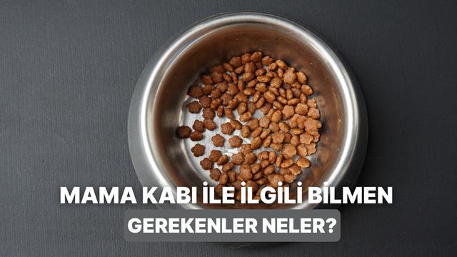 Hijyenik mama kabı seçerken nelere dikkat edilmeli?