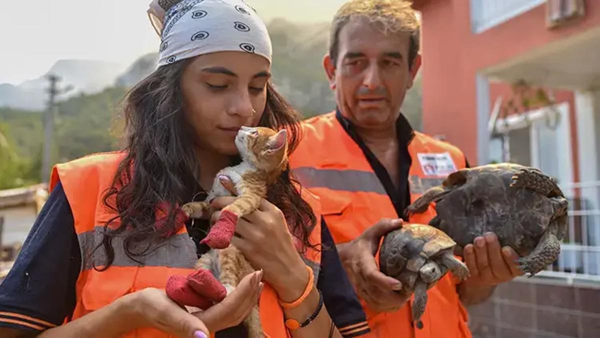 Orman yangınlarında  Hayvanlarda İlk Yardım  eğitimi 1