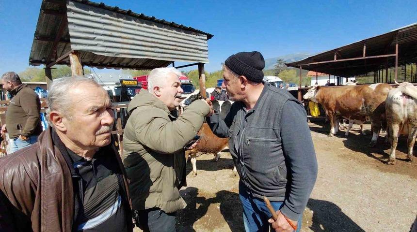 704 kiloluk dana i&ccedil;in dakikalarca pazarlık yaptılar