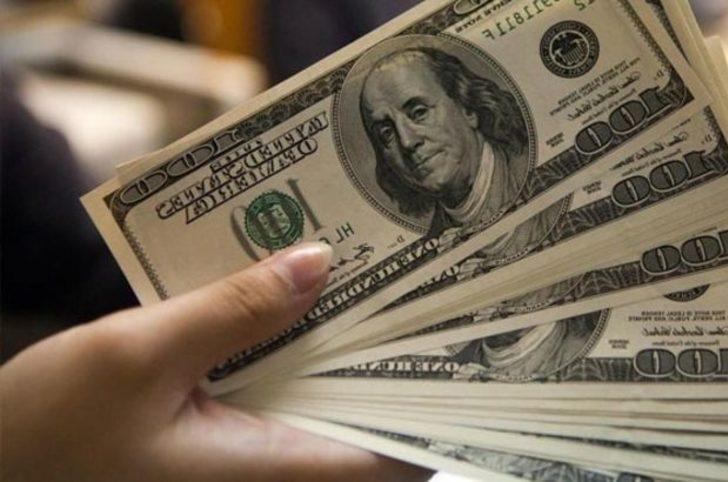 Türkiye'de 2018 yılında en çok dolar ve soyağacı arandı G1