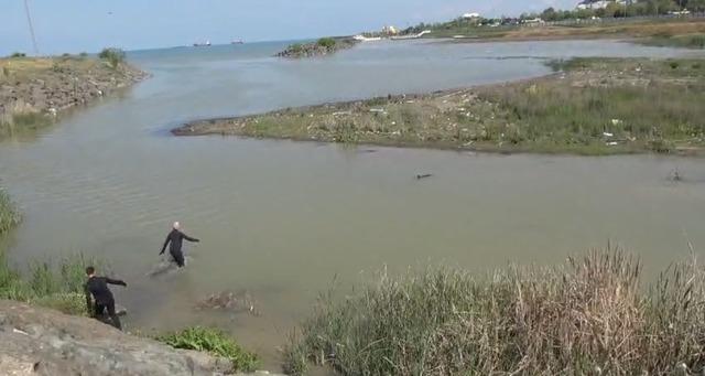 Dereye giren yunusu deniz polisi kurtardı 4