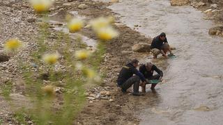 Gram gram topluyorlar: Suyla birlikte altın akıyor