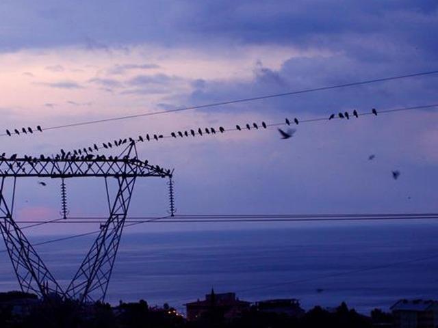 Spot piyasada elektrik fiyatları (20 Mayıs 2026)
