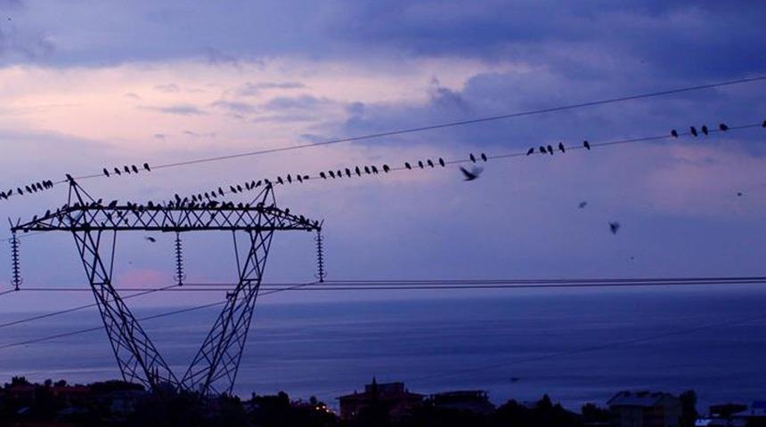 Spot piyasada elektrik fiyatları (20 Mayıs 2026)