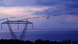 Spot piyasada elektrik fiyatları (20 Mayıs 2026)