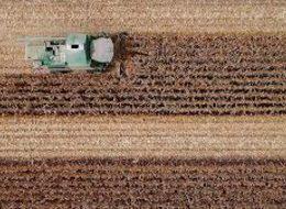 Köyüne dönmek isteyene arsa desteği