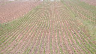 KİYÜ'de cübbe töreni düzenlendi