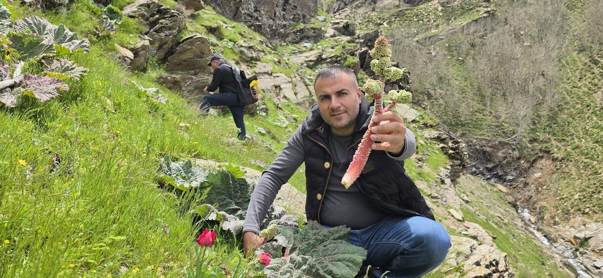 Toplamak i&ccedil;in akın ettiler: Kilometrelerce y&uuml;r&uuml;yorlar, 200 TL oldu 1