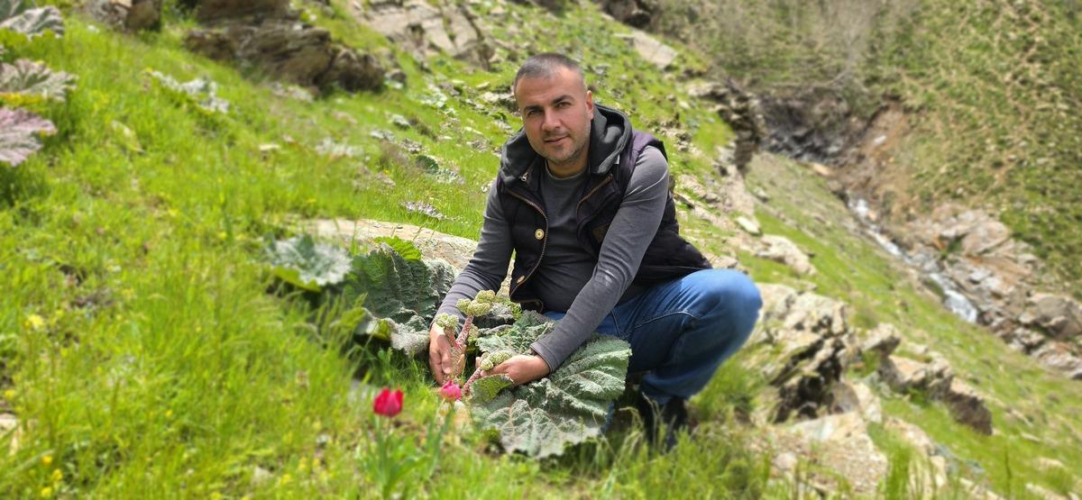 Toplamak i&ccedil;in akın ettiler: Kilometrelerce y&uuml;r&uuml;yorlar, 200 TL oldu 2