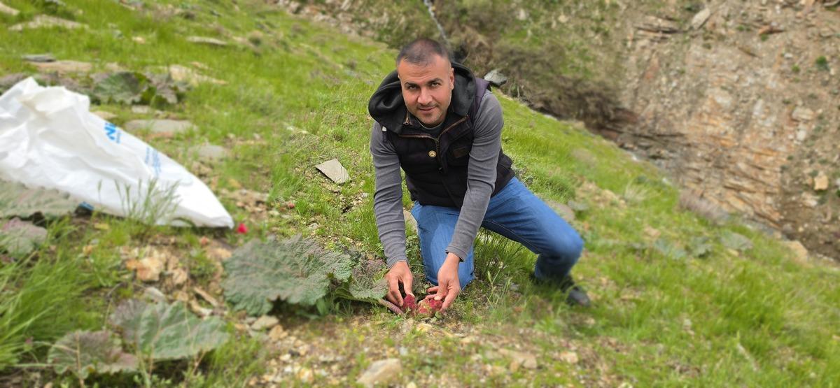 Toplamak i&ccedil;in akın ettiler: Kilometrelerce y&uuml;r&uuml;yorlar, 200 TL oldu 4