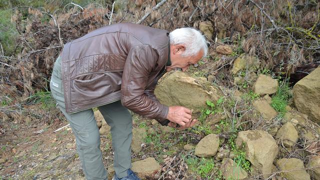 'Adeta fışkırdı' Her taşın altına bakıyor: Gram altınla yarışıyor