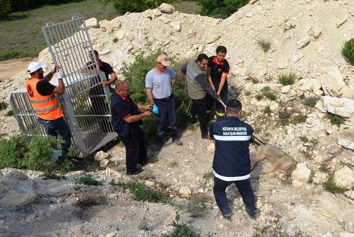 İnşaat çukuruna kurt düştü!  G5