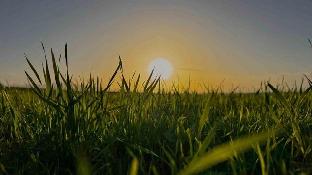 Ağrı&rsquo;da g&uuml;n batımı g&ouml;rsel ş&ouml;len sundu 2