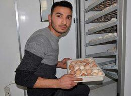 Civciv üretmek için başladı, ihracatçı oldu