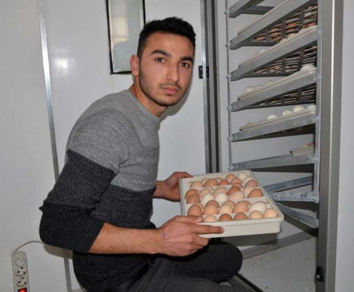 Civciv üretmek için başladı, ihracatçı oldu G4