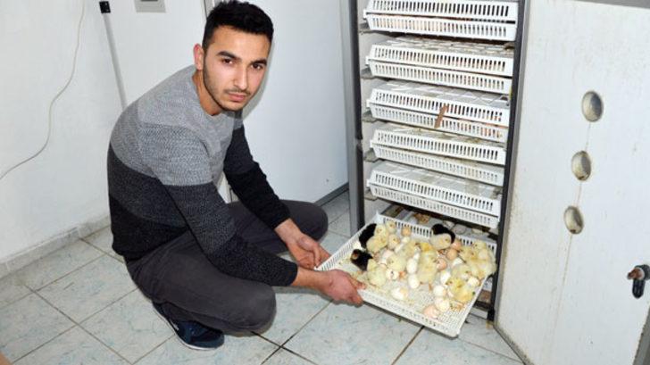 Civciv üretmek için başladı, ihracatçı oldu G2