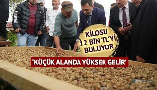 'Topraktan &ccedil;ıkan altın' deniyor: 'Bu işte para var'