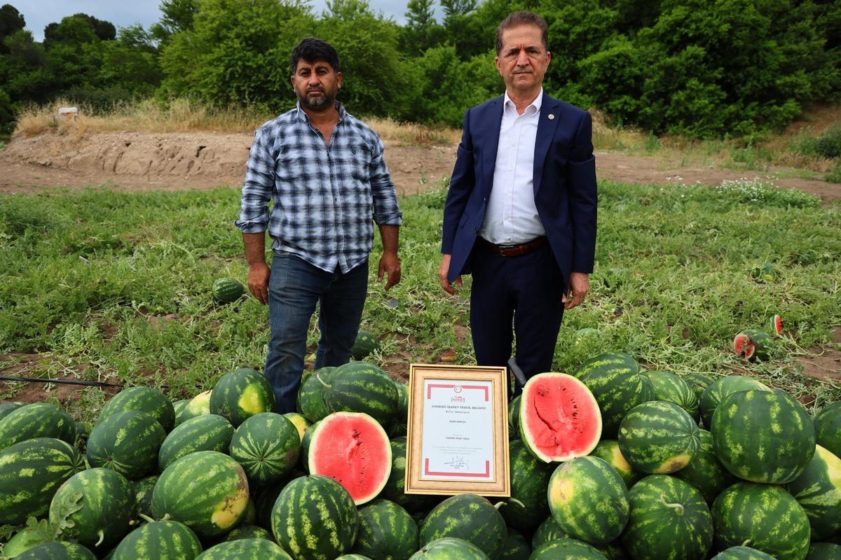 Adana da hasat başladı: Fiyatlar belli oldu! Eken zengin olacak 2