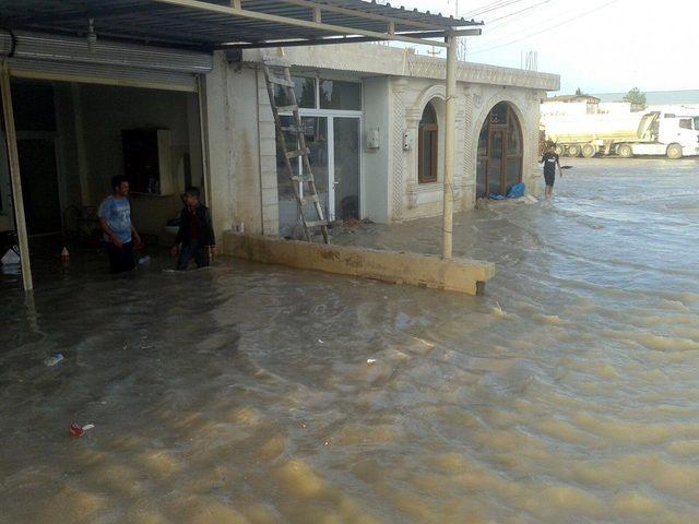 Nusaybin'de taşkın mağduru esnaf yardım bekliyor