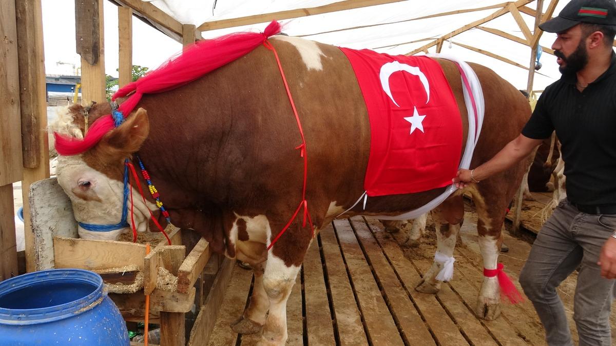 Biri Kral diğeri Baron ! "Rakibi yok, İstanbul’da tek" 1