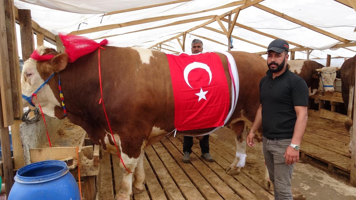 Biri Kral diğeri Baron ! "Rakibi yok, İstanbul’da tek" 3