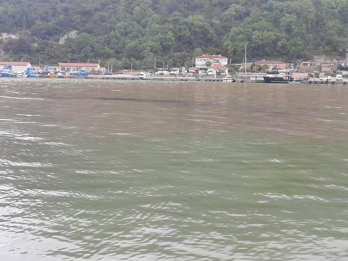 Dereye karıştı, denize kadar ilerledi! O ilde kimyasal alarmı 1
