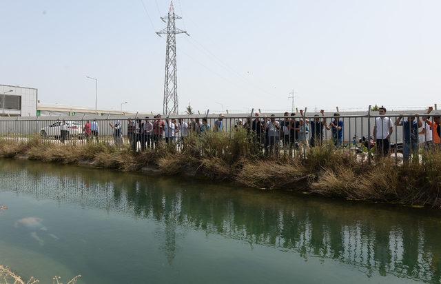 Kanalda erkek cesedi bulundu; meraklılar bölgeye koştu