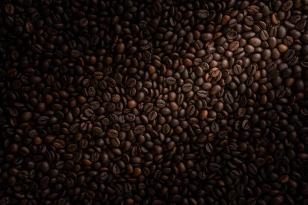 Evde profesyonel barista kalitesinde soğuk latte yapmanın püf noktaları 2