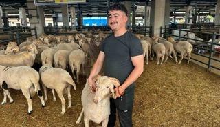 Bursa&rsquo;daki sıra dışı "gergedan boynuz"lu ko&ccedil; g&ouml;renleri şaşırtıyor