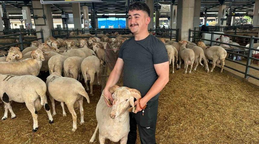 Bursa&rsquo;daki sıra dışı "gergedan boynuz"lu ko&ccedil; g&ouml;renleri şaşırtıyor