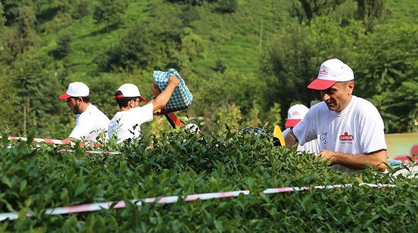 &Ccedil;AYKUR'un ge&ccedil;ici iş&ccedil;i alımına d&uuml;zenleme