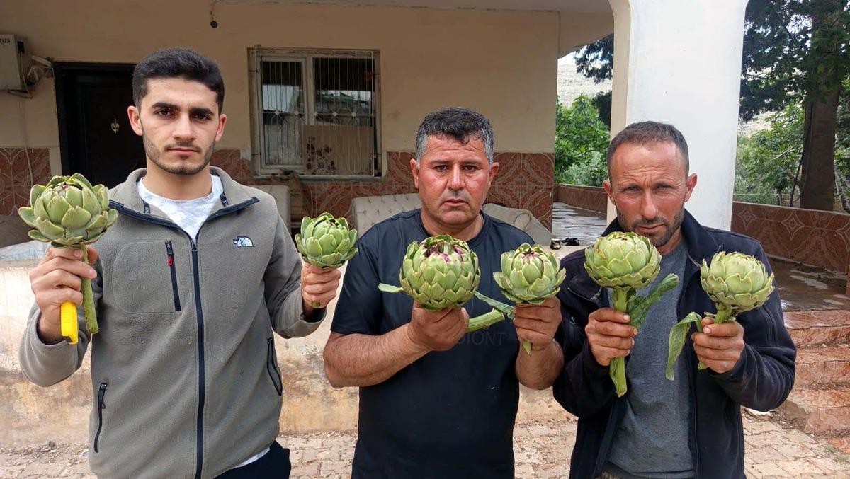 İlk kez yediği ürün hayatını değiştirdi: Karaciğer dostu olarak biliniyor 3